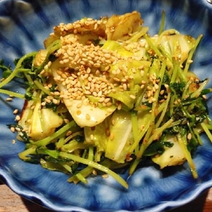 カット野菜と豆苗で無限サラダ